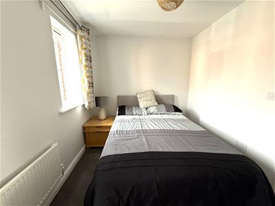 Picture 12